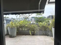 Bukit Timah Road (D10), Semi-Detached #501495541